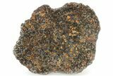 Polished Sericho Pallasite Meteorite (g) - Kenya #232275-2